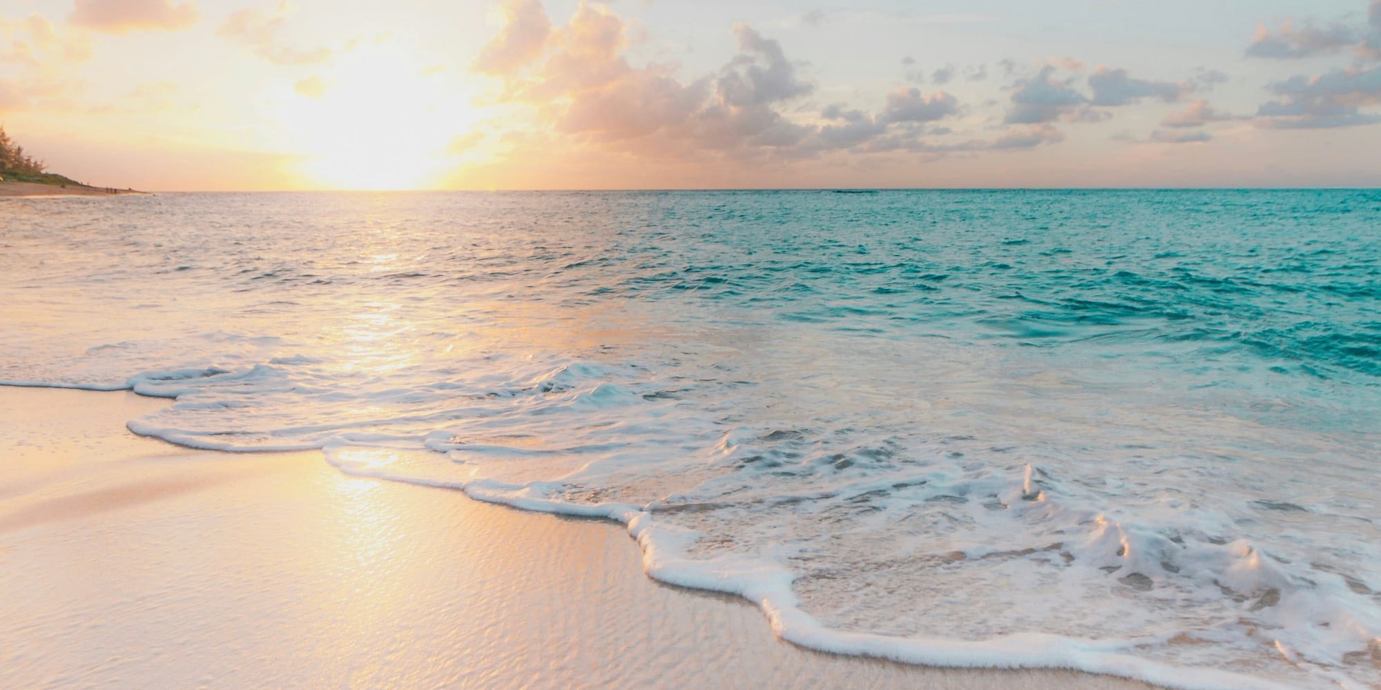 爬虫提取——XPath