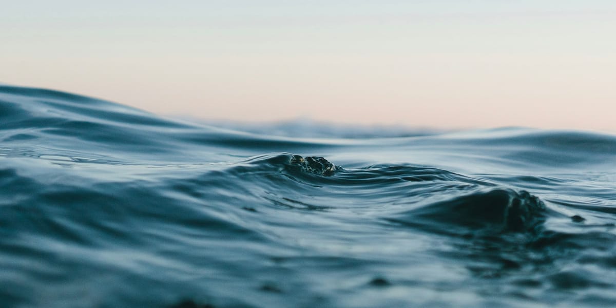 MySQL数据库的条件查询