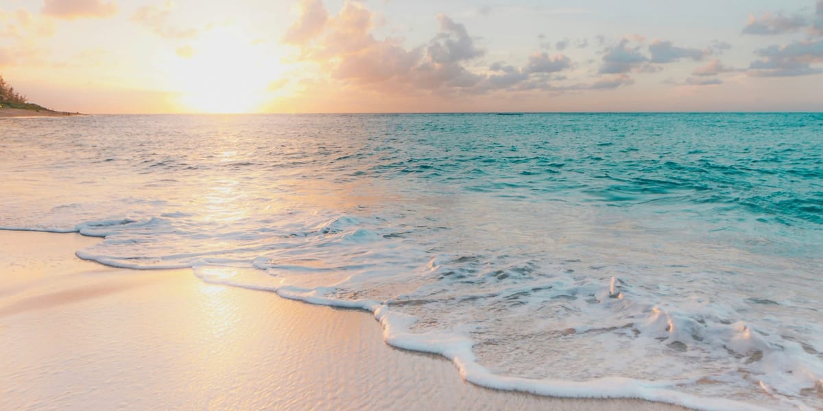 爬虫提取——XPath