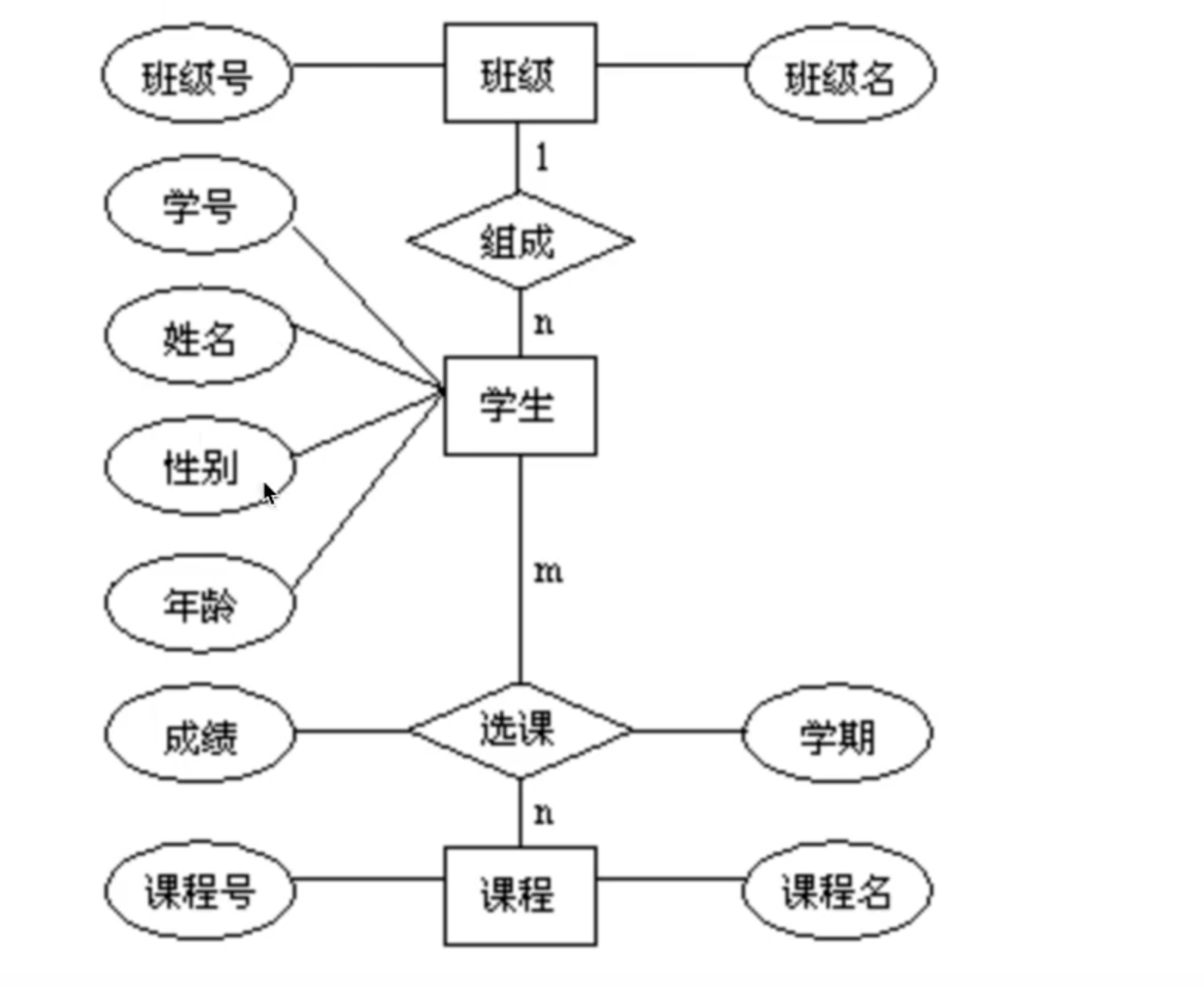 image-20250912130505490