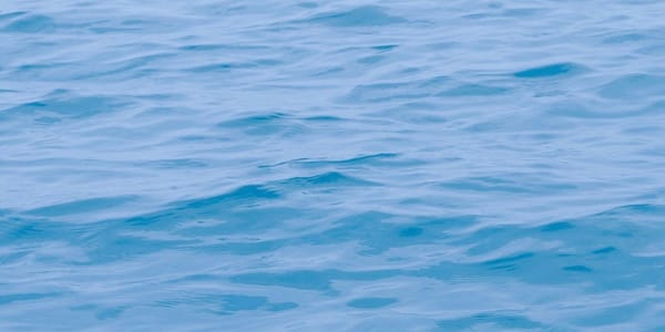 Allure测试报告个性化定制