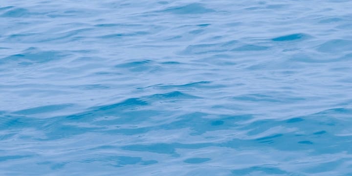 Allure测试报告个性化定制