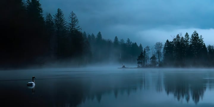 MySQL数据库的高级使用